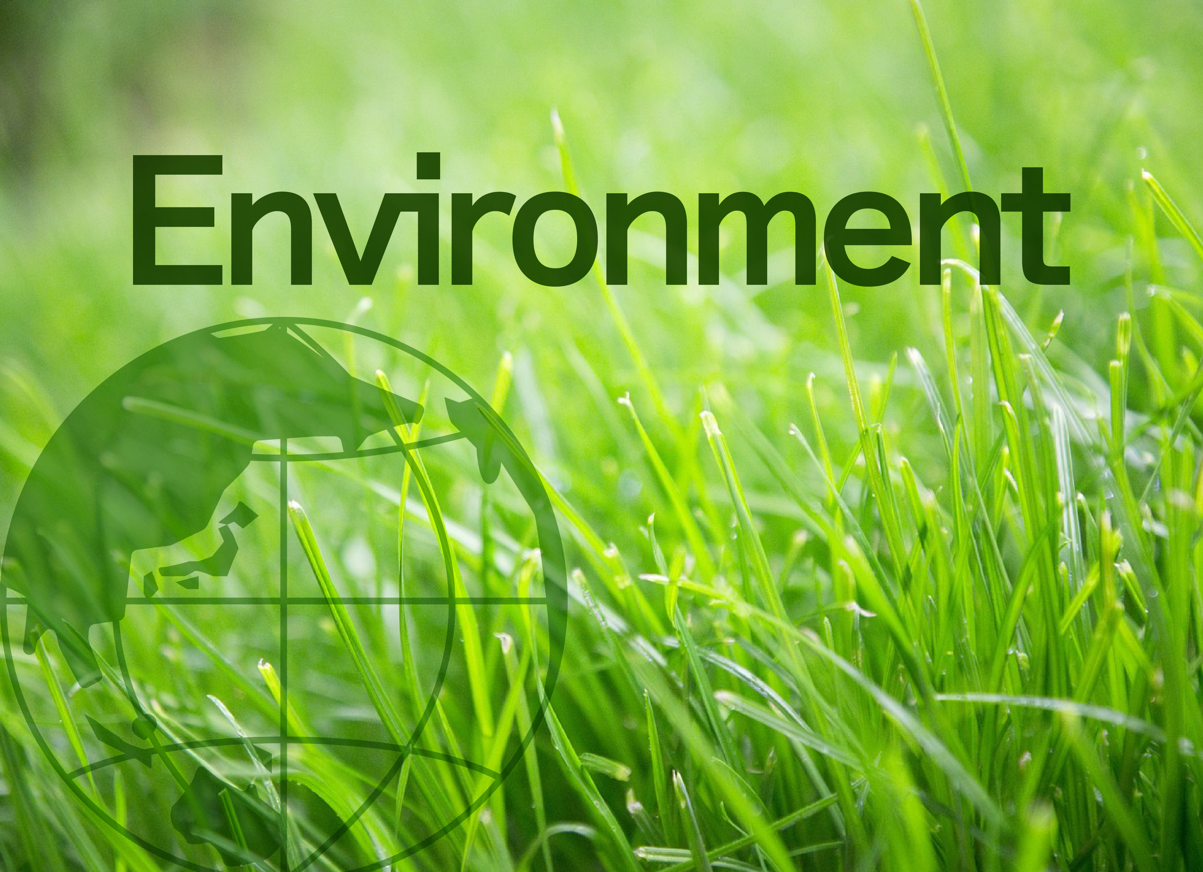 environment